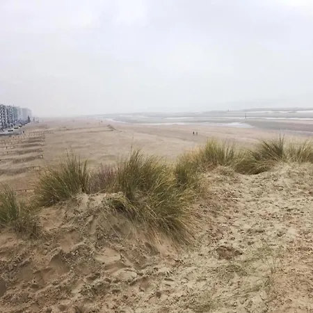 Modern Near Sea *