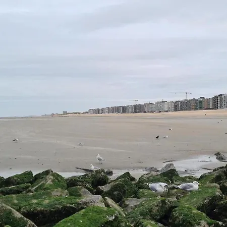Modern Near Sea