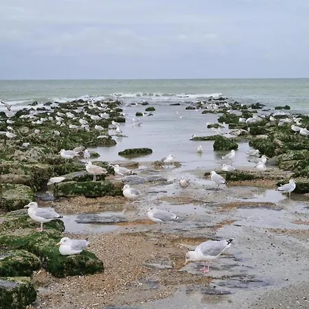아파트 Modern Near Sea